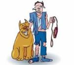 Некоторые ошибки в воспитании собаки