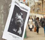 Пропала собака: что делать?