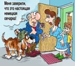 Как купить щенка или продать собаку и не быть обманутыми?