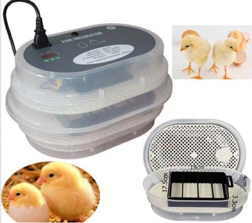 Бытовые инкубаторы для куриных яиц представлены на отечественном рынке в большом ассортименте